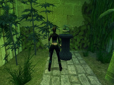 13) Aquasahrym.jpg