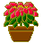 50_307